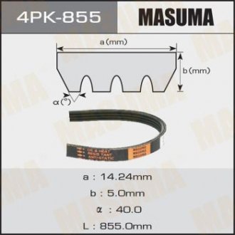 Ремінь струмковий 4PK- 855 MASUMA 4PK855 (фото 1)
