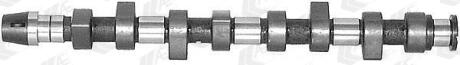 Вал розподільний AUDI 80, VW PASSAT, T4 1.9D/TDI (91-99) AE CAM440