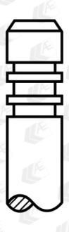 Клапан впускной AUDI A8/A6/A4 3.0 BMK-BKN-BNG-BPP-BSG AE V98010