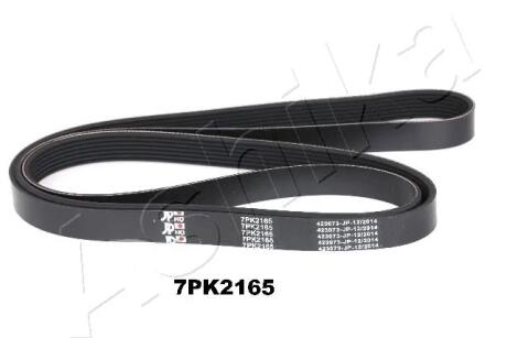 Ремінь поліклиновий ASHIKA 1127PK2165