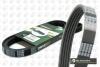 Поликлиновый ремень ELASTIC BGA 5PK705E (фото 1)
