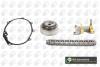 Комплект цепи ГРМ Passat/Jetta/Golf/Octavia 2.0 FSI 04- (с шестернями/+VVT) BGA TC0110VFK (фото 1)