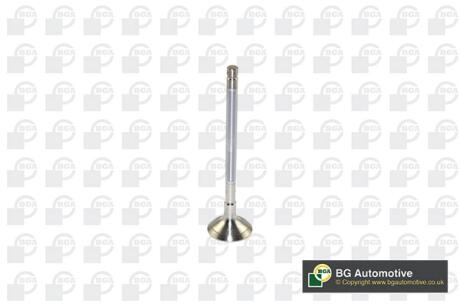 Клапан двигателя BGA V122042