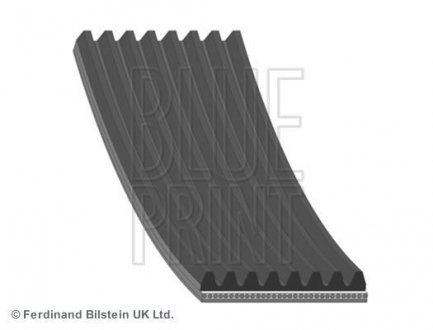 Ремень поліклиновий 8PK1355 BLUE PRINT AD08R1355