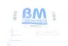 Садовый фильтр BM CATALYSTS BM80621H (фото 2)