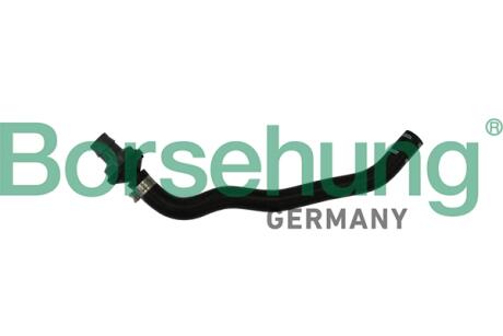 Соединительный шланг с обратным клапаном (OE) Borsehung B11971