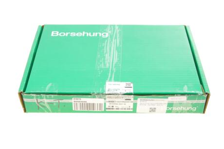 Гідрокомпенсатор (к-кт 16*16)022109423D+06E109417E Borsehung B18213