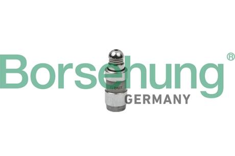Гидрокомпенсатор (OE) Borsehung B18826