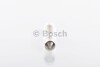 Лампа 24V софітна C5W24V 5W SV8.5-8 BOSCH 1 987 302 520 (фото 5)