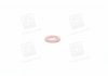 Уплотнительное кольцо BOSCH F00VP01004 (фото 1)