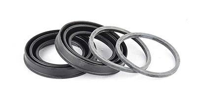 Ремкомплект тормозного суппорта перед. Transit (V184) 00- (48mm) BSG BSG 30251016