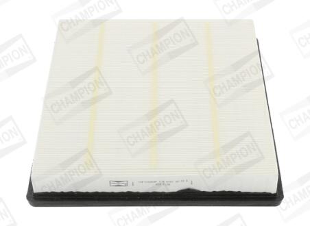 CHAMPION CAF100954P