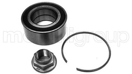 LAND ROVER підшипник передній маточини 75 99-, FREELANDER 98-. CIFAM 6192304