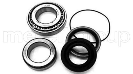 MITSUBISHI підшипник маточини колеса задн. L 300, L400, Space Gear CIFAM 6197007