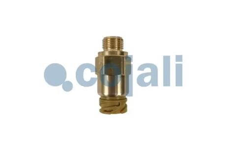 Датчик тиску палива Cojali 2260987
