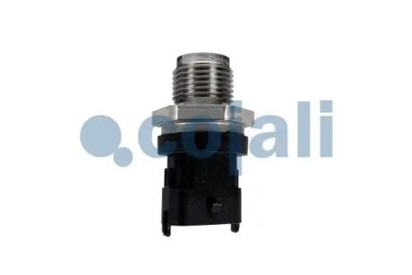 Елемент системи Common Rail Cojali 2262001