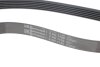 Роликовый модуль натяжителя ремня (ролик, ремень) Contitech 6PK1130K3 (фото 3)