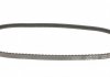 Ремінь клиновидний (довж. 60-180) DAYCO 10A0775C (фото 3)