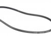 Ремень клиновидный (дл. 60-180) DAYCO 11A1030C (фото 2)