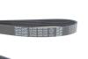 Ремень поликлиновой DAYCO 6PK1341 (фото 4)
