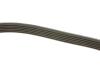 Ремень поликлиновой DAYCO 6PK2400 (фото 3)