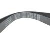 Ремень поликлиновой DAYCO 7PK1051EE (фото 4)