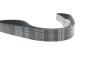 Ремень поликлиновой DAYCO 7PK1148 (фото 4)