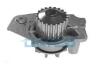 DAYCO PEUGEOT Помпа воды Citroen BX 1.9D 87-,C15 1.8D,309,405,Rover DP011