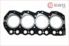 Прокладка головки блока циліндрів Elwis Royal 0022448 (фото 1)