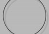 Кольцо резиновое круглого сечения C3,53 d1 205 EMMETEC O-02276 (фото 1)