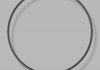 Кольцо резиновое круглого сечения C2,45 d1 100 EMMETEC O-02873B (фото 1)