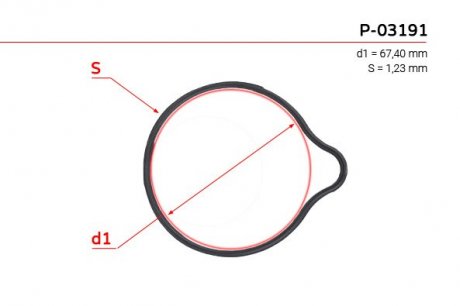Прокладка насоса ГУР EMMETEC P-03191 (фото 1)
