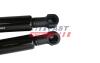 К-кт (2шт) амортизатор багажника зад VW GOLF V 03-09 (HB) FAST FT00203K (фото 1)