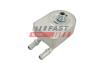 Радіатор масляний Dodge Journey (08-)/ Jeep Compass (06-) 2.4i FAST FT01022 (фото 2)