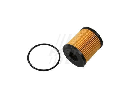 Фільтр масляний CITROEN BERLINGO 96-08, FIAT SCUDO 07-16, FORD TRANSIT 06-14 FAST FT38074
