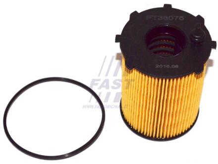 Фильтр масляный (вставка) PSA Berlingo/C3/C4/Partner/207/307/Ford Fiesta/Focus 1.4-1.6HDi 04- FAST FT38075