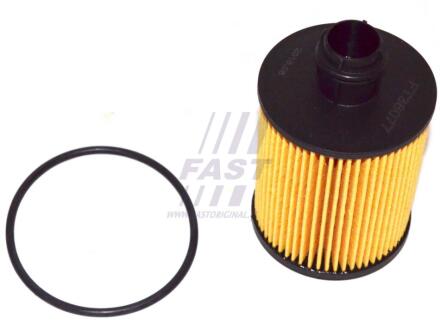 Фільтр масляний FIAT DOBLO 09-н.в., OPEL COMBO 11-18, SUZUKI SX-4 06-14 FAST FT38077