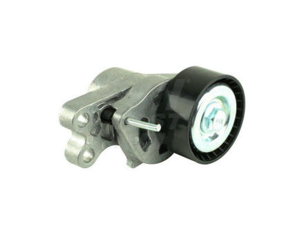 Натяжник паска Peugeot Bipper, Partner 1.1/1.4/1.4 16V/1.6 16V 06.96- FAST FT44612