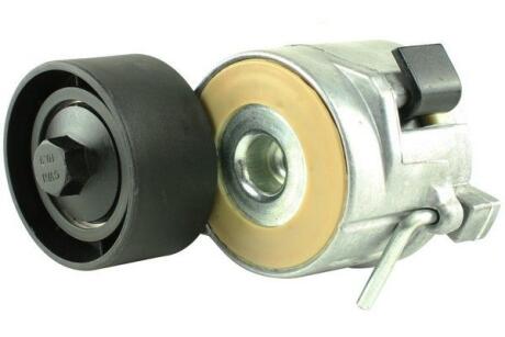 Натяжник поликлинового кулича Citroen/Peugeot/Fiat 1.4HDi, 1.6HDi/D Multijet, 2.2HDi 09.01- FAST FT44627