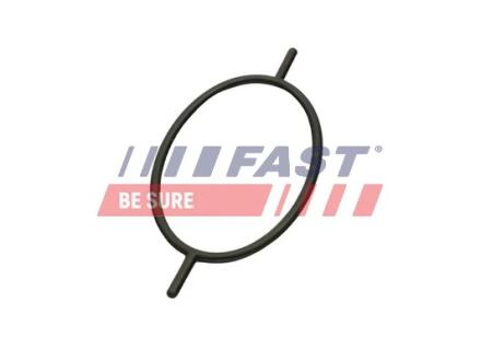 Прокладання вакуумного насоса Ford Focus/Connect/Escort/Mondeo 1.8D/1.8TD/1.8TDCI FAST FT49923