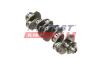 Колінвал Fiat Ducato/Citroen Jumper/Peugeot Boxer (06-)(14-) FAST FT51702 (фото 1)