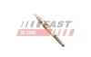 Свічка розжарювання Renault 1.5dCi/1.9dCI 00- FAST FT82726 (фото 1)