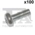 Фото 1 - болт з головкою системи TORX з чорного металу Fischer Automotive One (FA1) 982T06817.100 Болт з головкою системи TORX з чорного металу Fischer Automotive One (FA1) 982T06817.100 (фото 1)