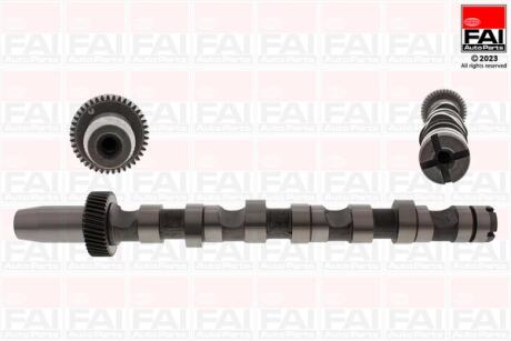 Розпредвал VW Passat/97-05Audi A4, A6/99-03Skoda Super B/02 Fischer Automotive One (FA1) C245