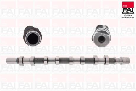 Распределительный вал Nissan Interstar/Opel Movano/Vivaro/Renault Laguna II/Master II/Trafik II 2.2 Dti/2.5 Cdti 02- Fischer Automotive One (FA1) C256