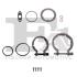 Комплект прокладок турбіни BMW 5 F10-18 10-17, 5 G30-38 16-; MINI Countryman F60 17-, Clubman F54 15- Fischer Automotive One (FA1) KT100560 (фото 1)