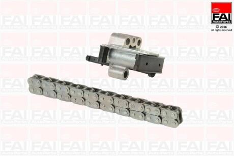 FAI CITROEN К-т ланцюга C-Crosser,Jumper,C4/5/8,DS,Jumpy,Ford,Fiat,Opel 2.0/2.2HDI/TDCi Fischer Automotive One (FA1) TCK100NG