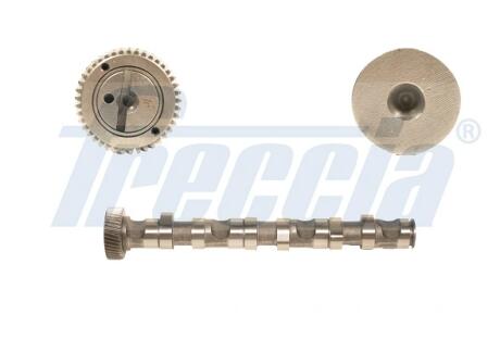 Распределительный вал Audi A4, A6 99-03 Skoda Super B /WV Passat 97-05 FRECCIA CM052122