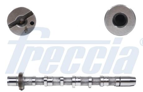 Вал розподільчий FRECCIA CM052189