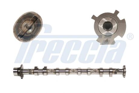 Вал розподільчий FRECCIA CM052248
